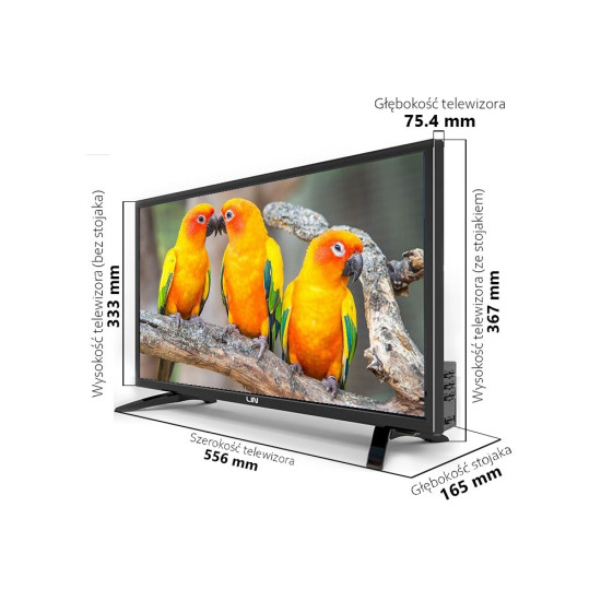 Telewizor LIN 24LHDD06 24" LED
