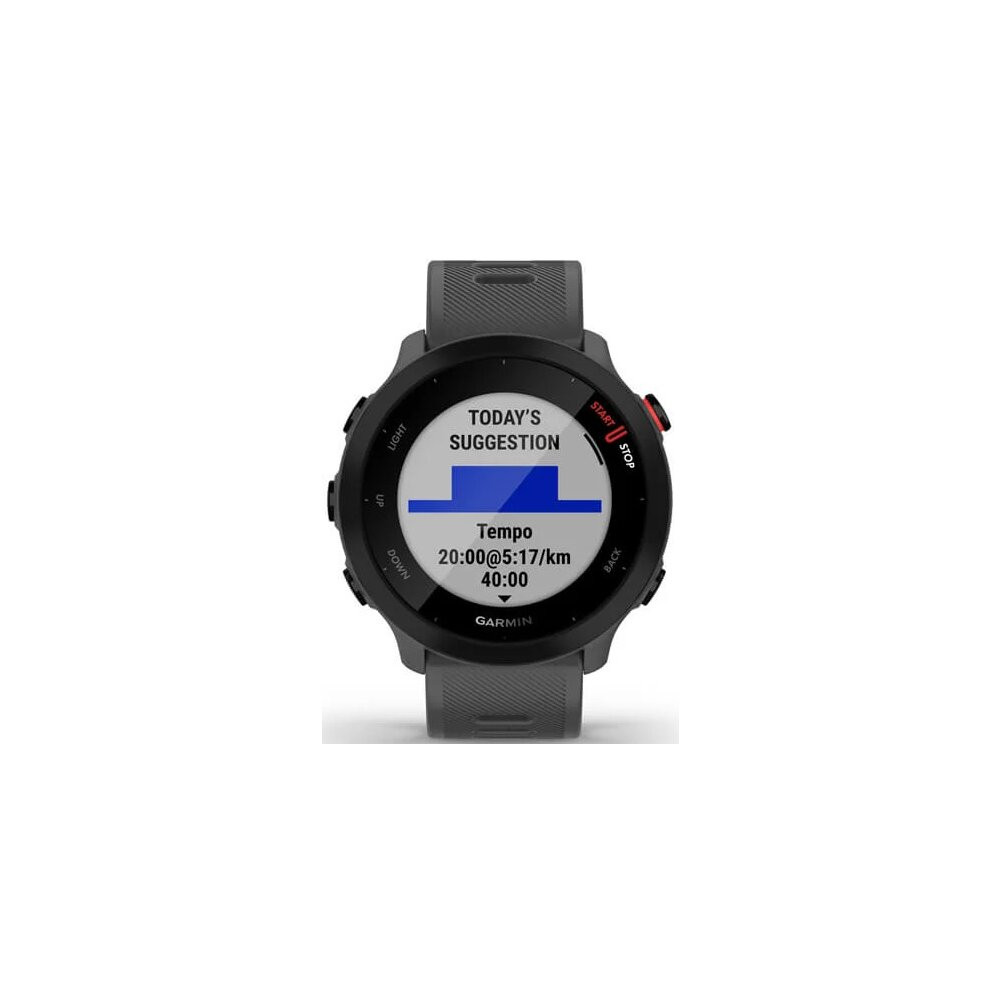 Smartfon Zegarek Garmin Forerunner 55 Szary